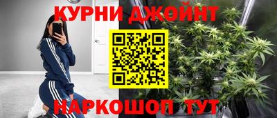 гидра Рязань