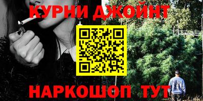 гидра Рязань