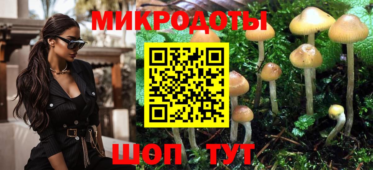 Обь  Псилоцибиновые грибы Psilocybine cubensis  Вход с VPN 